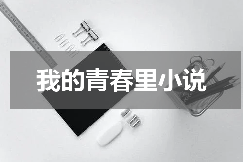 我的青春里小说