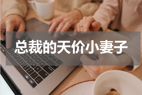 总裁的天价小妻子