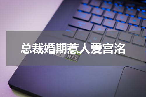 总裁婚期惹人爱宫洺