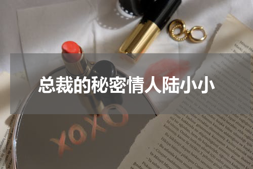 总裁的秘密情人陆小小