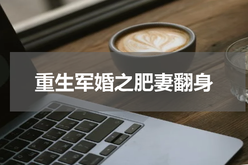 重生军婚之肥妻翻身