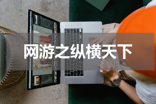 网游之纵横天下