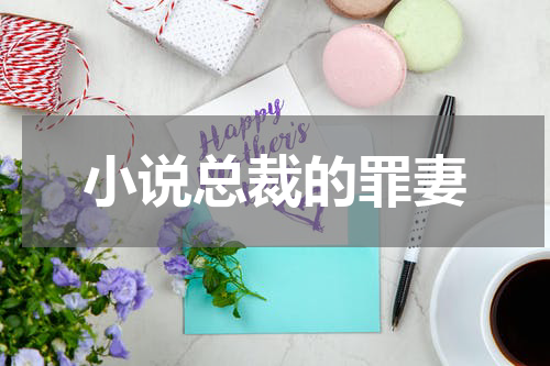 小说总裁的罪妻