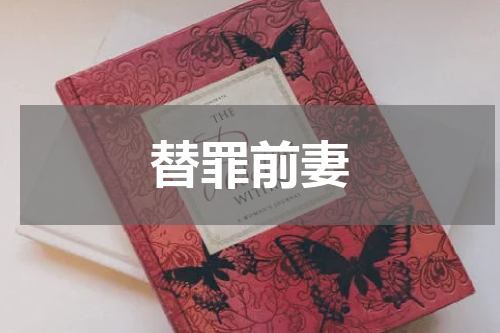 替罪前妻