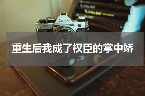 重生后我成了权臣的掌中娇