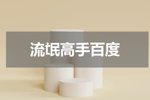 流氓高手百度