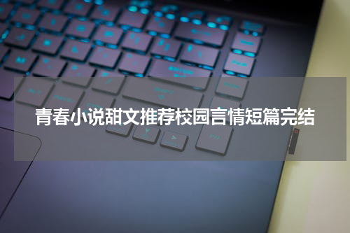 青春小说甜文推荐校园言情短篇完结