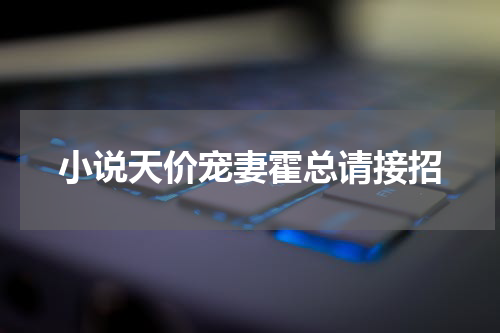 小说天价宠妻霍总请接招