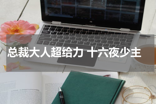 总裁大人超给力 十六夜少主
