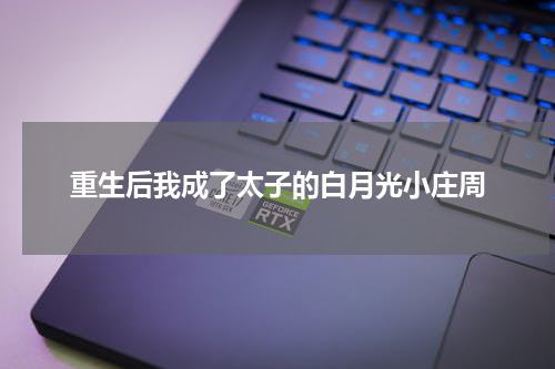 重生后我成了太子的白月光小庄周