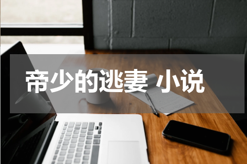 帝少的逃妻 小说