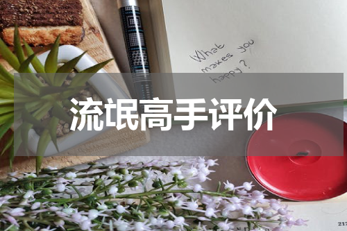 流氓高手评价