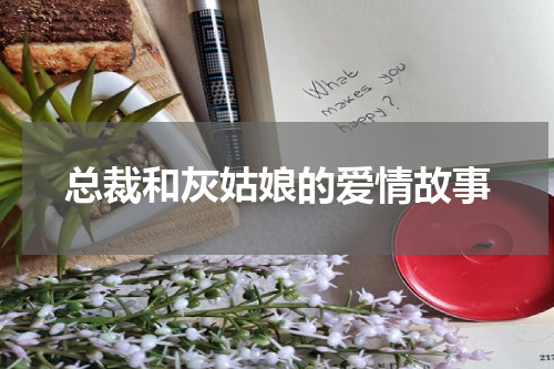 总裁和灰姑娘的爱情故事