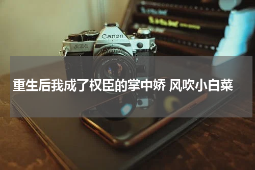 重生后我成了权臣的掌中娇 风吹小白菜