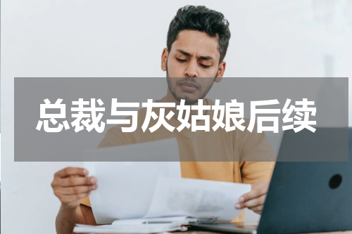 总裁与灰姑娘后续