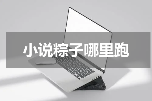 小说粽子哪里跑
