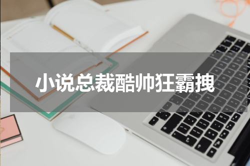 小说总裁酷帅狂霸拽