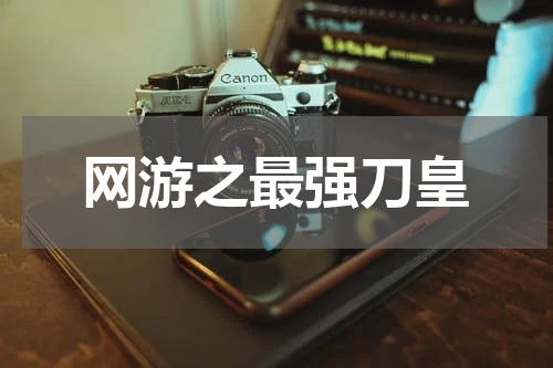 网游之最强刀皇