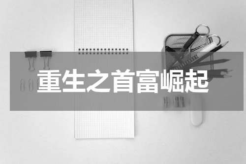重生之首富崛起
