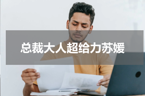 总裁大人超给力苏媛