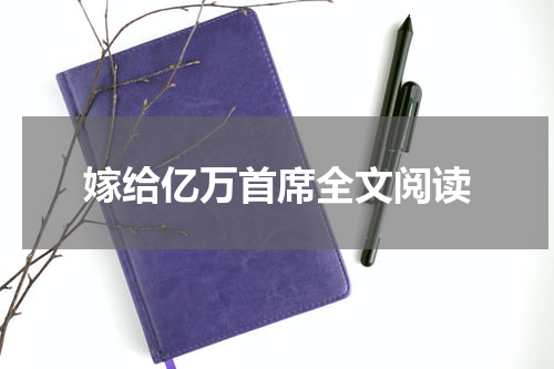 嫁给亿万首席全文阅读