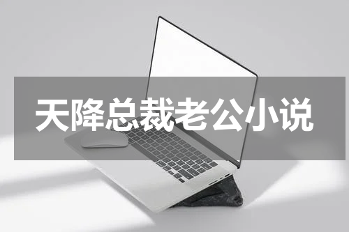 天降总裁老公小说