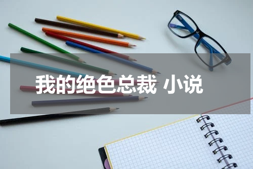 我的绝色总裁 小说