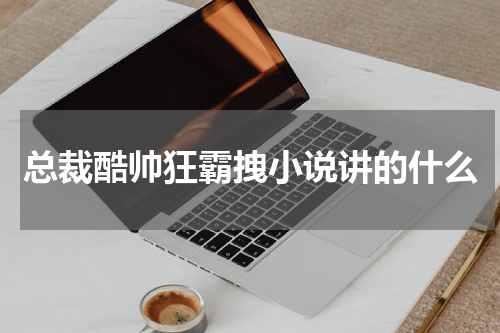 总裁酷帅狂霸拽小说讲的什么