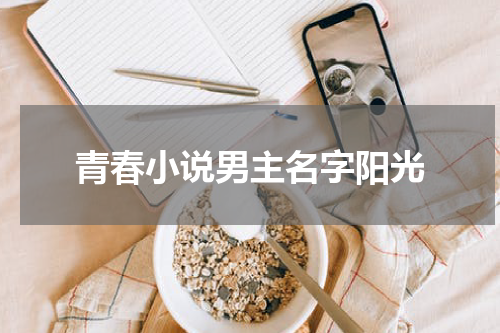 青春小说男主名字阳光