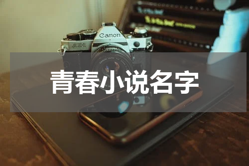 青春小说名字