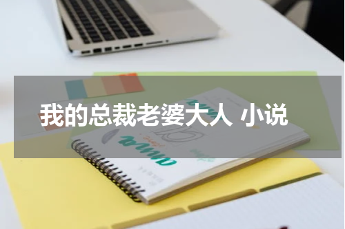我的总裁老婆大人 小说