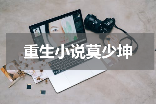重生小说莫少坤