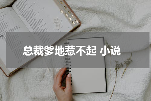 总裁爹地惹不起 小说