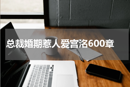 总裁婚期惹人爱宫洺600章