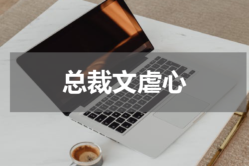 总裁文虐心