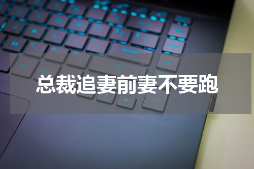 总裁追妻前妻不要跑