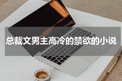 总裁文男主高冷的禁欲的小说