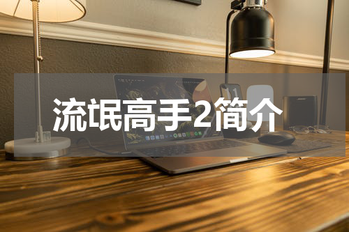 流氓高手2简介