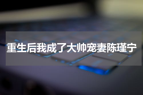 重生后我成了大帅宠妻陈瑾宁