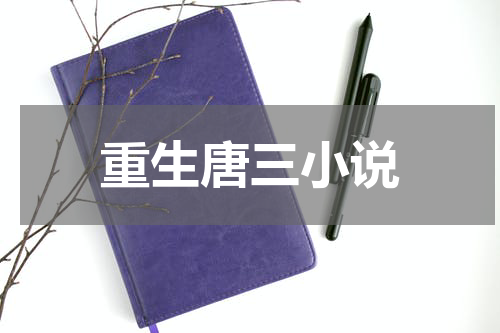 重生唐三小说