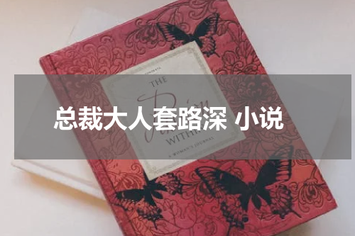 总裁大人套路深 小说