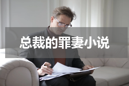 总裁的罪妻小说
