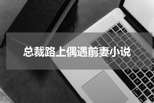 总裁路上偶遇前妻小说