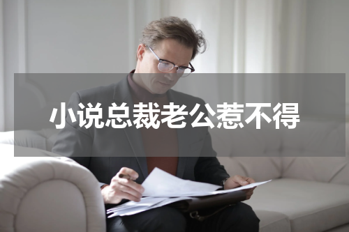 小说总裁老公惹不得