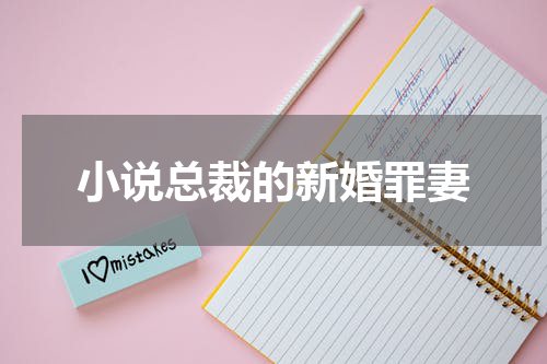 小说总裁的新婚罪妻