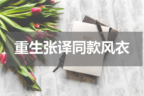 重生张译同款风衣