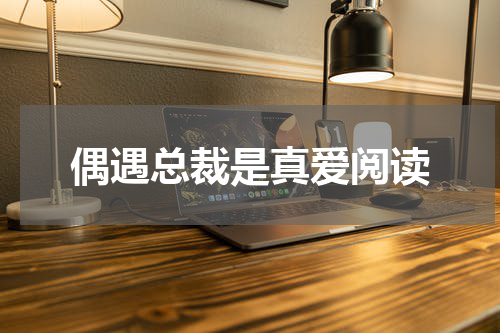偶遇总裁是真爱阅读