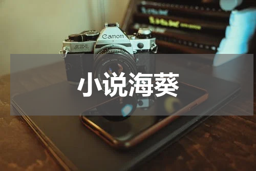 小说海葵