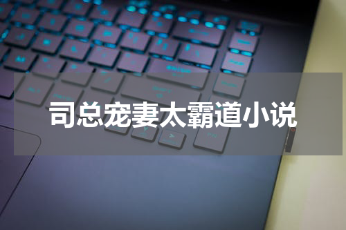 司总宠妻太霸道小说