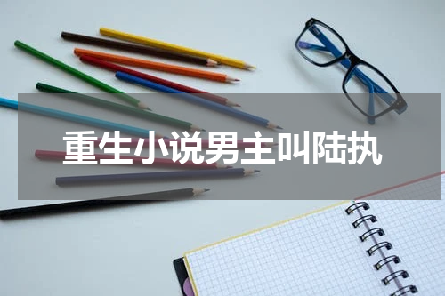 重生小说男主叫陆执